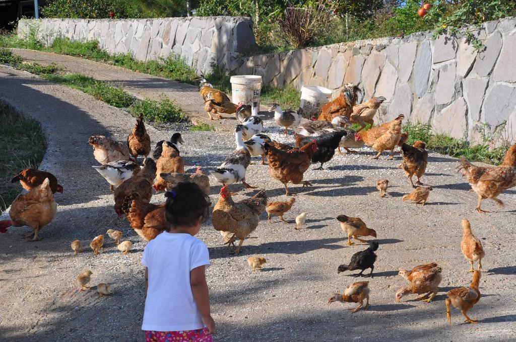 Le Refuge Hotel La Ferme ภายนอก รูปภาพ